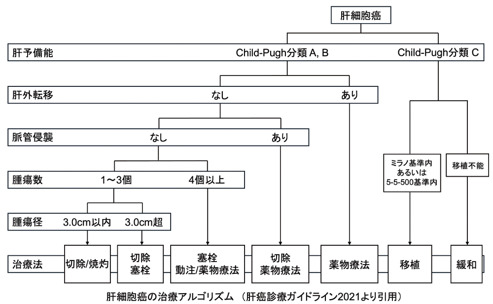 肝細胞癌の治療アルゴリズム(肝癌診療ガイドライン2021より引用)