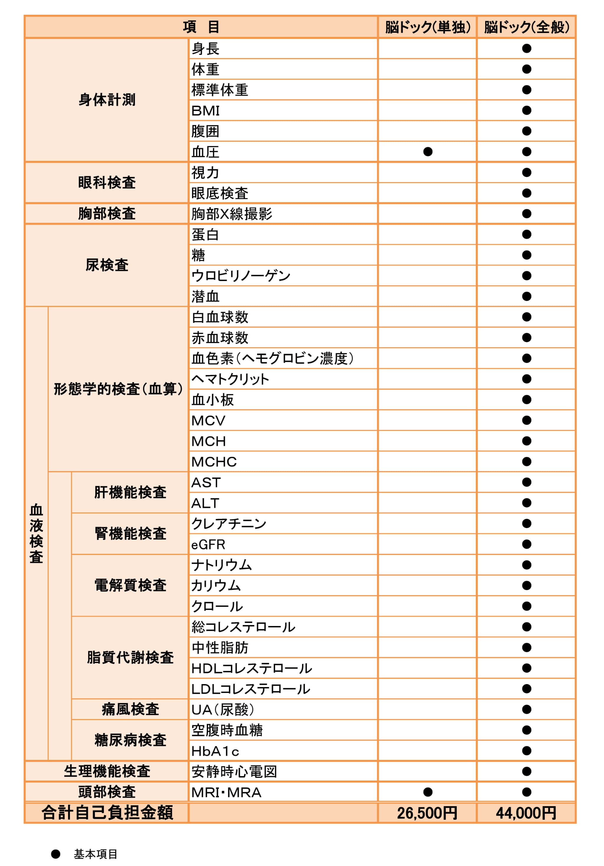 脳ドック 検査項目と料金